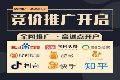 百度推广实战：成功企业的营销策略